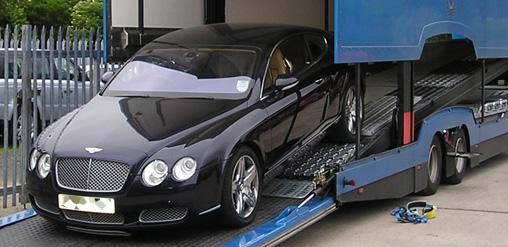 Auto Transport & Recovery